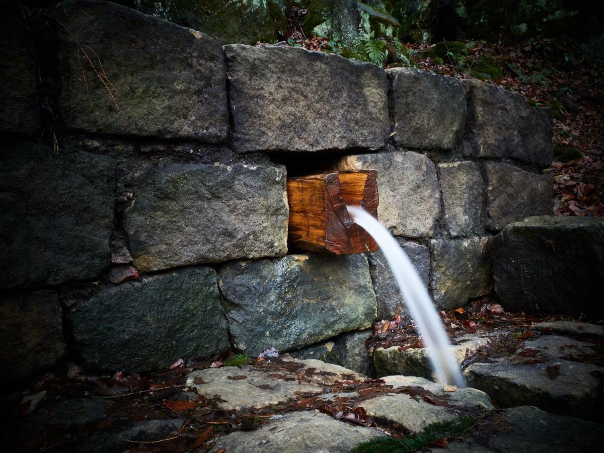 U Kosti - Bohemian Switzerland Decin Exterior foto